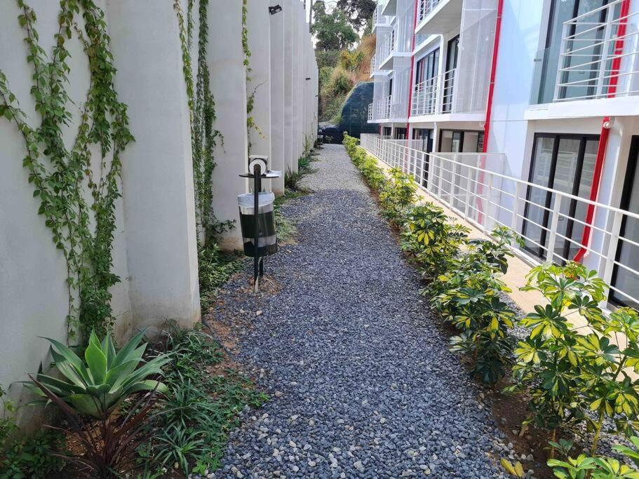 Moderno En Cayala, Guatemala. *